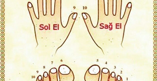 Tırnak Kesimi İçin Kesin Zaman ve Uzman İpuçları [2026] - Kapak Görseli